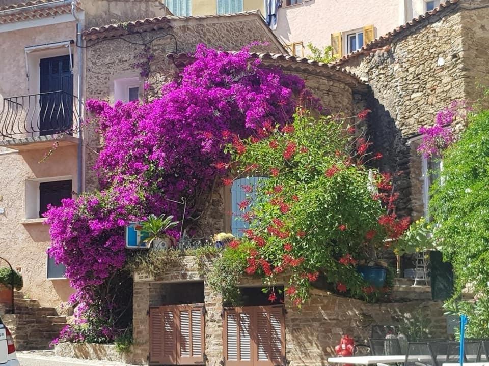 Maison De Vacances Medievale Bormes-Les-Mimosas Village Екстериор снимка