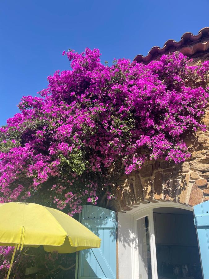 Maison De Vacances Medievale Bormes-Les-Mimosas Village Екстериор снимка