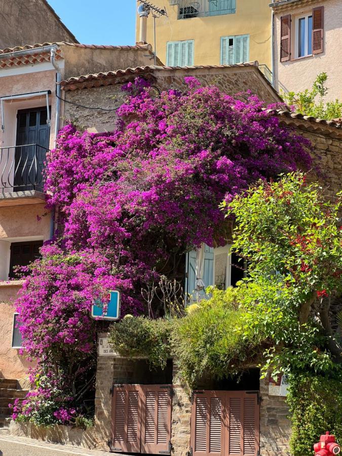 Maison De Vacances Medievale Bormes-Les-Mimosas Village Екстериор снимка
