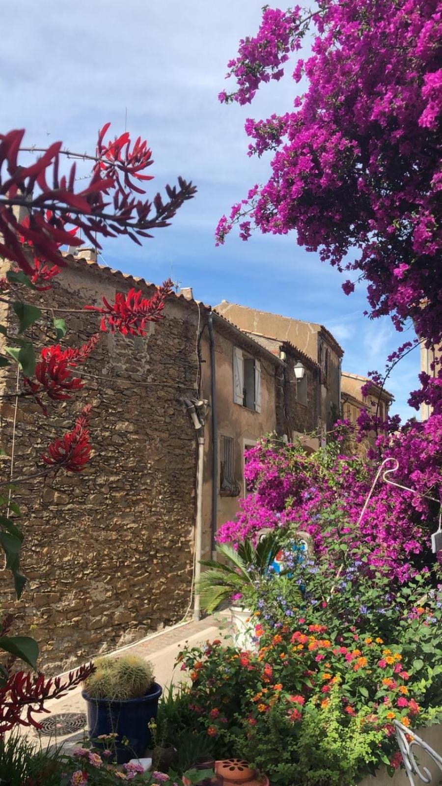 Maison De Vacances Medievale Bormes-Les-Mimosas Village Екстериор снимка