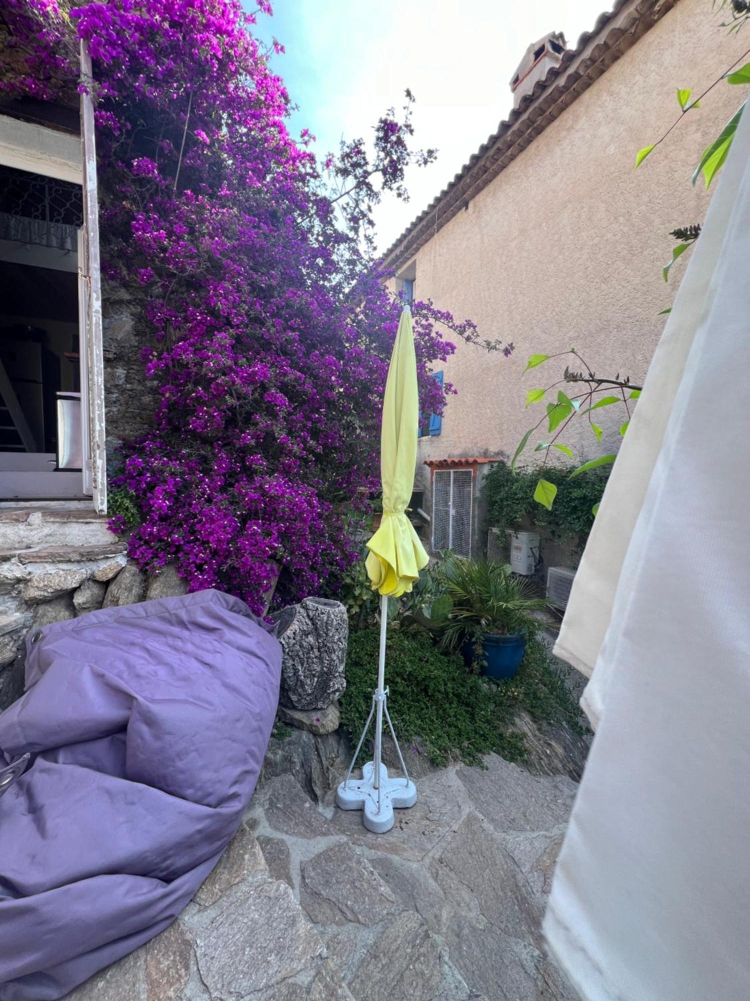 Maison De Vacances Medievale Bormes-Les-Mimosas Village Екстериор снимка